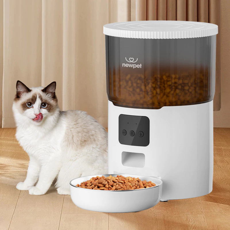 Alimentador de ração automático para cães e gatos